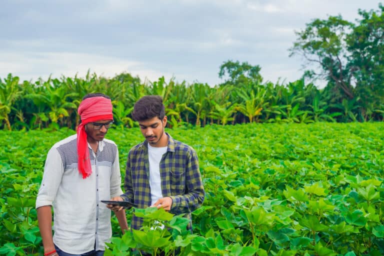 Young Farmer Using Smartphone to Take Notes on His Fields