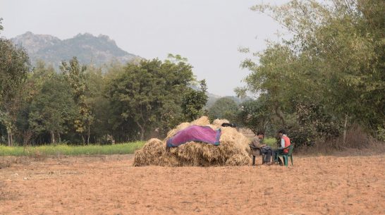 Diets, choices, and interdisciplinary research in South Asia